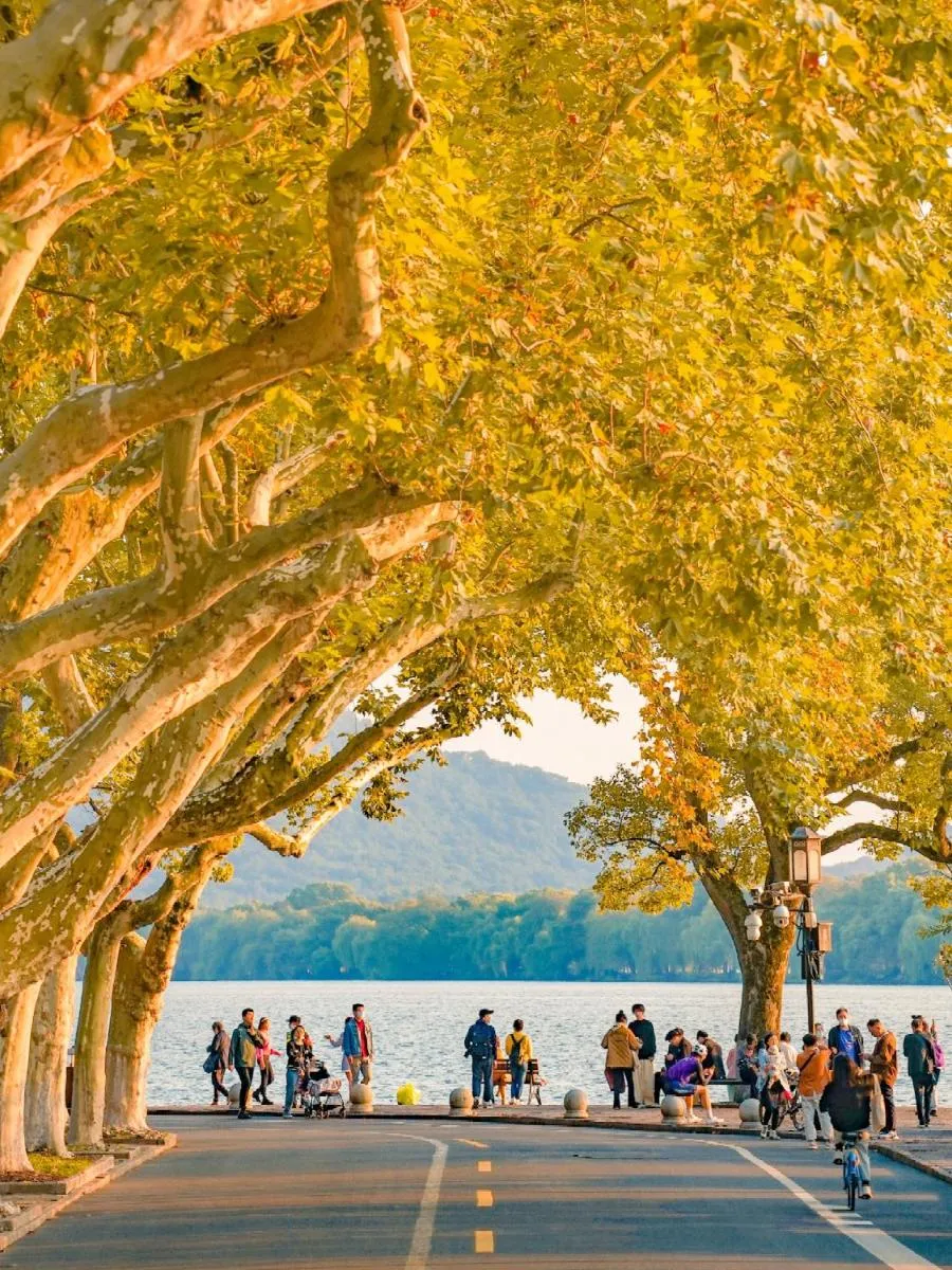 Image 5 of Nostalgia S Hotel Hangzhou West Lake & Hefang Old Street 时光漫步S酒店杭州西湖湖滨河坊街店 Free fresh ground coffee,Free laundry service