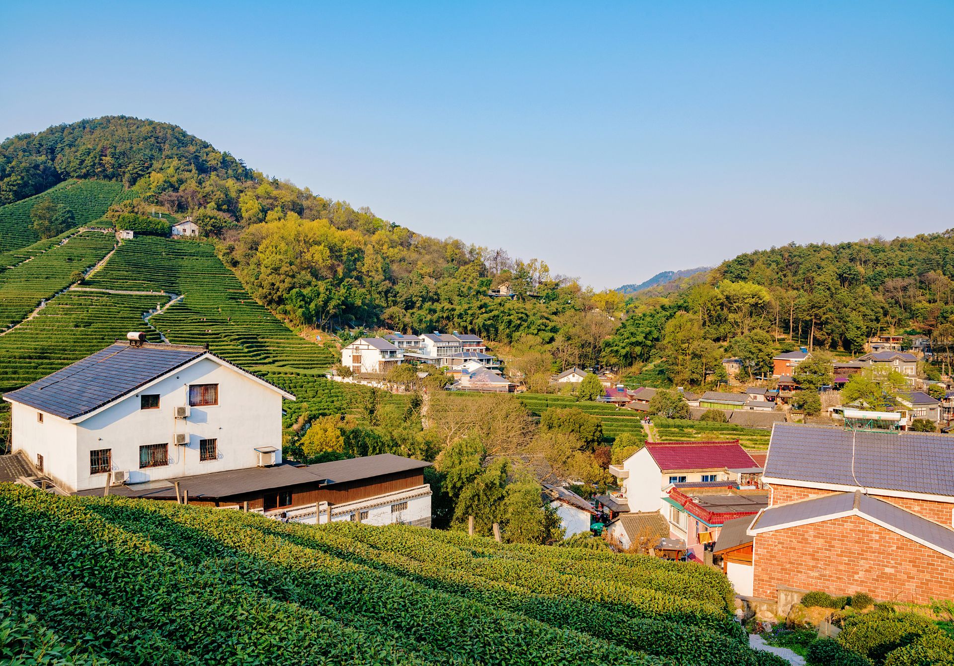Longjing Village